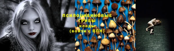 тгк Алзамай