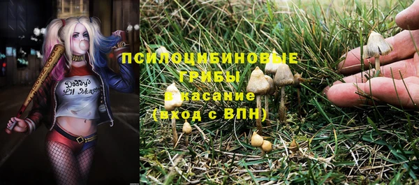 тгк Алзамай