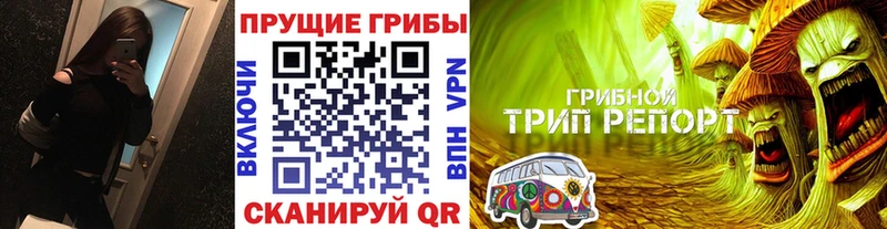 Псилоцибиновые грибы Cubensis  купить наркотики цена  мориарти какой сайт  Южно-Сахалинск 